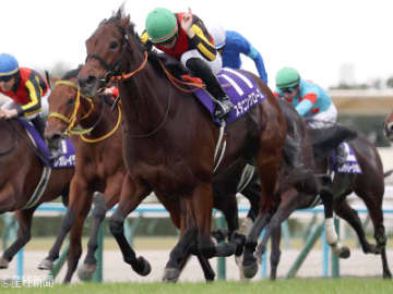 【エリザベス女王杯】①人気の過信は禁物！①②人気より結果を残しているのは何番人気？過去10年の傾向から見る人気と配当