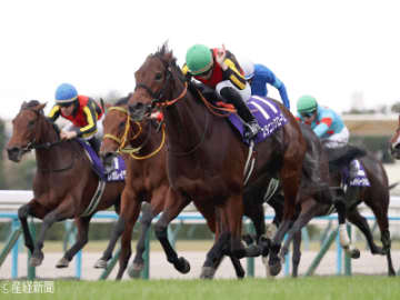 【エリザベス女王杯】馬券に絡まなかったのは2024年のみ！最重要となるステップとは！？ステップレースから見る過去10年の傾向