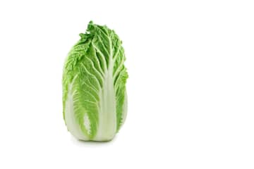 【白菜】を長持ちさせるコツ。1/4個を冷蔵保存するときに大事なことは？