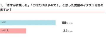 「さすがに焦った」愛猫のヒヤッとするイタズラは？　飼い主ができる工夫や対策を獣医師が解説