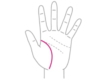 就職・独立・結婚・出産等を知ることができる生命線を見る時のポイントとは！？【手相の教科書】