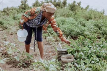 BSIグループジャパン（英国規格協会）、『レインフォレスト・アライアンス認証』解説動画シリーズ完結編――実務担当者必見の最終章をWebで公開　～「環境・社会・経済」を守る国際認証で、持続可能な農業と森林保全の推進を支援～