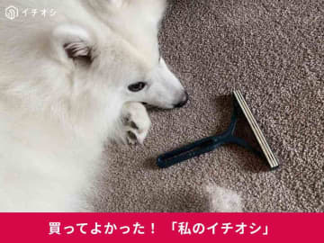 愛犬の抜け毛が「カーペットクリーナー」で驚くほどきれいに！日本スピッツ・テトちゃんのもふもふの毛もごっそり(30代女性)