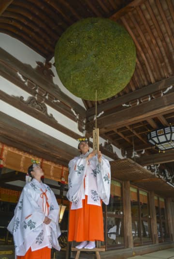 拝殿の大杉玉かけ替え、奈良　大神神社、酒まつり前に