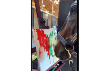 「とてもかわいくて才能ある画家」　19歳の名馬ワンダーアキュート、絵筆くわえる姿に再脚光　海外でも話題に