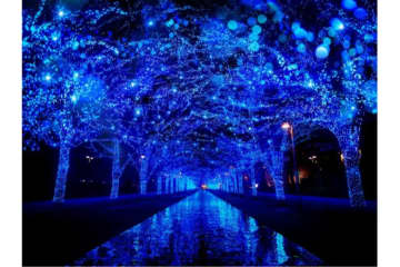 代々木公園のイルミネーション「青の洞窟 SHIBUYA」完全解説！混雑状況や立ち寄りスポットも