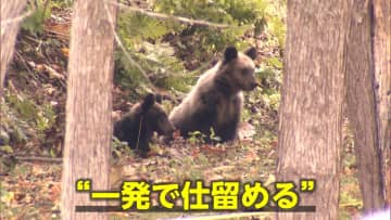 “災害級”クマ被害…各地で出没続き緊急銃猟も　警察官がライフル銃で駆除可能に…仕留めきれず“手負いグマ”の危険も