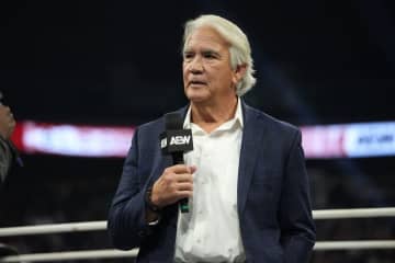 【ＡＥＷ】７２歳の〝南海の黒豹〟降臨！　リッキー・スティムボートの雄姿に観客大歓声