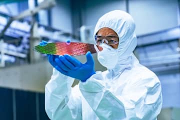 純資産残高は約8兆円の大幅増！ 流入トップ3は「オルカン」「世界のベスト」「S&amp;P500」＝25年10月投信概況