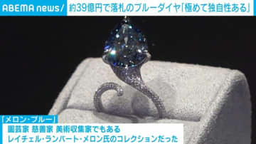 約39億円で9.51カラットのブルーダイヤ落札 「極めて独自性のあるもの」 スイス