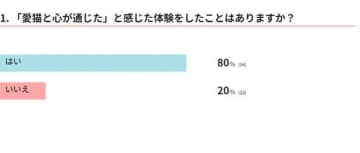 【調査】愛猫と心が通じたと感じるのはどんなとき？　獣医師解説も