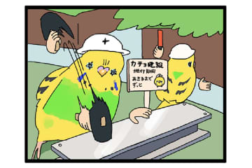 破壊からキュンへ ― セキセイインコ・カチョリエルの二面劇【鳥マンガ #150】