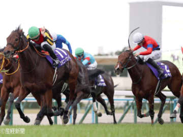 【エリザベス女王杯】好成績を挙げるのは関西馬！フォーカスを当てるべき主力馬の条件とは！？アイルランドＴ組で見る攻略POINT