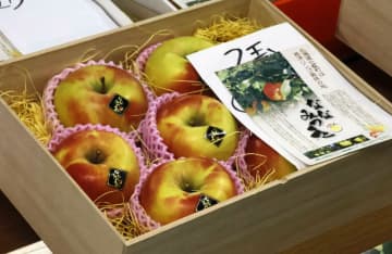 蜜入りリンゴ、7玉10万円　北海道七飯町「ななみつき」