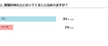 【調査】愛猫が体の上にのってくることはある？　獣医師の解説も