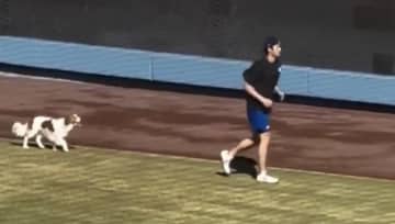大谷翔平、球場で愛犬と仲良くトレーニング「デコピンかわいいし賢い」　茂木健一郎も「さすが！」と絶賛