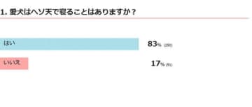 【調査】愛犬はヘソ天で寝ることはある？　行動の心理を獣医師が解説