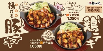 ニンニクたっぷり濃厚ダレが特製の粉をまぶして揚げたお肉に絡む! 松のやが「にんにく醤油の“揚げる”豚テキ・鶏テキ」を発売