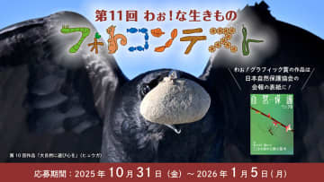 動物や植物の“わぉ！”な瞬間を募集、賞品はミラーレスカメラ「第11回 わぉ！な生きものフォトコンテスト」