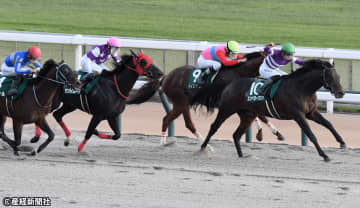 【武蔵野Ｓ】軸に据えるなら①人気より良い人気馬がいる？ 過去10年の傾向から見える人気と配当