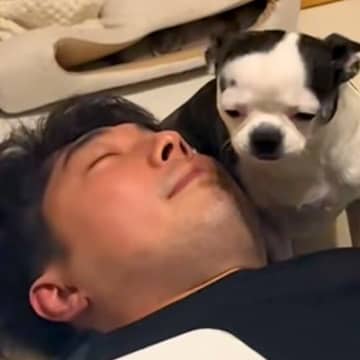 旦那のことが大好きな犬→目の前でイチャイチャしようとしたので見ていたら…まさかの『気遣いをみせる姿』に「シパシパの目がｗｗ」と爆笑