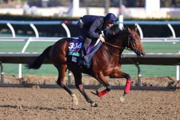 【ジャパンカップ】アイルランド＆フランスから4頭が正式参戦へ