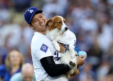大谷翔平、4度目のMVP受賞直後に投稿した愛犬デコピンの“どアップ表情”が120分で30万いいね！の大バズり「えぐかわ」「固まってる」「涙目」