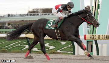 【武蔵野Ｓ】キングカメハメハ系種牡馬が好調！ 過去10年の傾向から血統で考える攻略ポイントとは!?