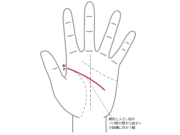 「自分らしさ」を知る上でとても重要な知能線の見方とは！？【手相の教科書】