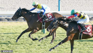 【デイリー杯2歳Ｓ】Ⅴ候補はキャリア１・２戦馬！ 過去10年の傾向から考える攻略ポイント