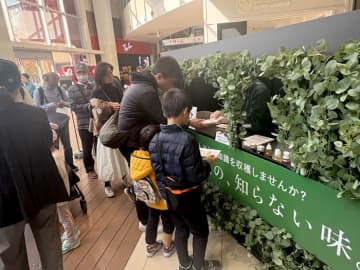 雪印メグミルク えんどう豆の魅力発信 植物性ヨーグルト試食に1500人