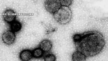 【速報】5つの県で「警報レベル」インフルエンザ感染者数が12週連続増加　1医療機関あたり21.82人