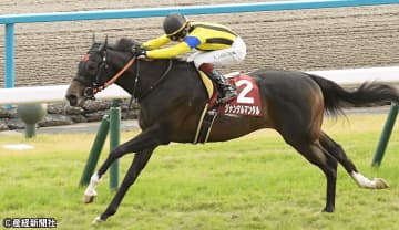 【デイリー杯2歳Ｓ】①人気１頭軸マルチがオススメ！ 過去10年の傾向から見えてくる3連単を的中させる軸馬の狙い方