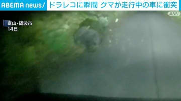 ドラレコに瞬間 クマが走行中の車に衝突 富山・砺波市
