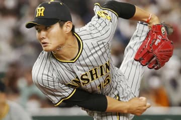 阪神、西純矢と戸井を育成契約