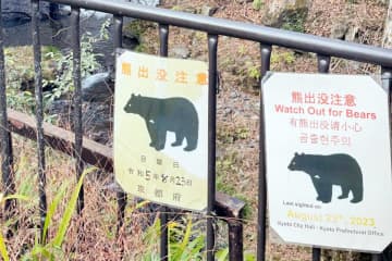 中国でも注目集める日本のクマ被害、青海チベット高原では「ヒグマ追い出し作戦」も