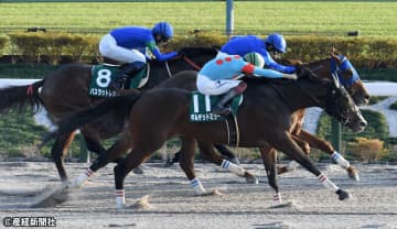 【武蔵野Ｓ】上位人気でも真っ先に消しておきたい枠番!? 過去10年の傾向から考える買えない馬とは