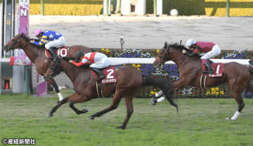 【デイリー杯2歳Ｓ】小柄な馬は馬券に絡まない？ 過去10年の傾向から見える買えない馬とは!?