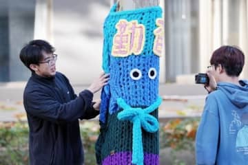 北京の大学キャンパスに「セーターを着た木」が登場―中国