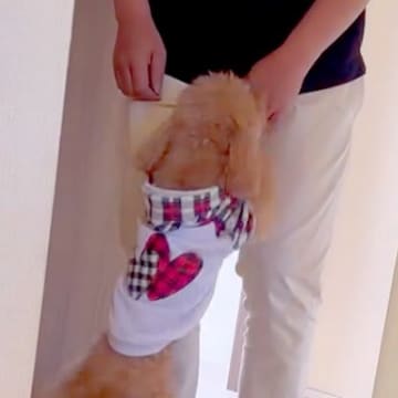 ２週間ぶりに入院から帰宅したパパ→犬が泣いているような鳴き声で…感動的な『お出迎えの光景』に反響「めっちゃ喜んでくれてる」「大感激」