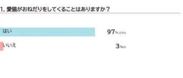 猫の「おねだりサイン」って？　応えてあげるべきか獣医師に聞いた