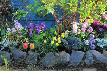 全国からファン殺到！ 人気園芸店【フローラ黒田園芸】直伝！ 春まで長く楽しめる花壇の作り方