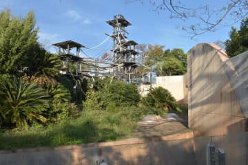 チンパンジー舎改修へ　日立・かみね動物園　壁かさ上げ、園路見やすく　茨城