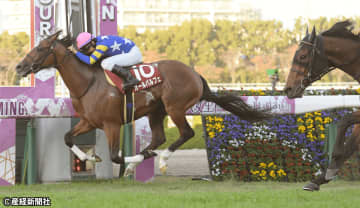 【デイリー杯2歳Ｓ】３・８枠が勝ち筋か？ 過去10年の傾向から見えてくる波乱の主役となり得る馬とは