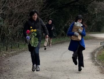 No Buses、シングル「Starfish」リリース