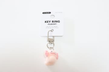 ダイソーで見つけて思わず震えた…「なんだこの生物は！」フルコンプしそうになったキーホルダー