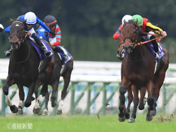 【エリザベス女王杯】半数以上が馬券に絡む！直線フラットな京都で波乱を呼ぶ馬とは！？
