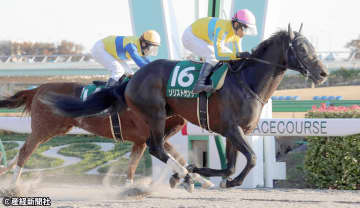 【武蔵野Ｓ】「関西馬✕関東騎手」が最高の組み合わせ？ 過去10年の傾向から見える波乱の主役となり得る騎手とは