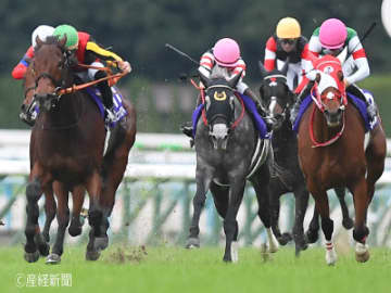 【エリザベス女王杯】強気に1着固定で狙いたいのは！？3連単を的中させる軸馬の狙い方