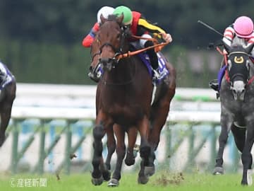 【エリザベス女王杯】上がり1～3位なら買える！3連単を的中させる相手馬の狙い方